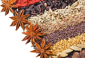 在白色的印度不同香料