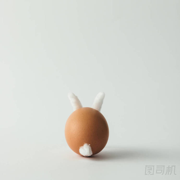 復(fù)活節(jié)兔子做的蛋照片