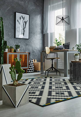 仙人掌的房间图片