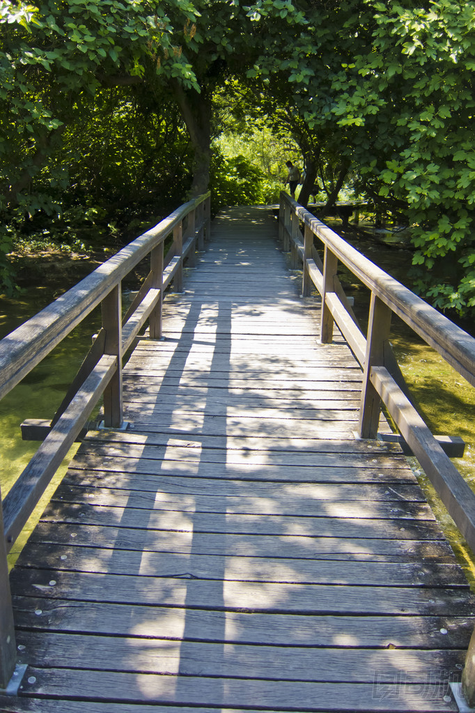 通過森林的木路徑。在克爾卡國家公園，克羅地