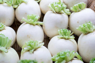 白蘿卜, 白蘿卜也叫莫麗在花園