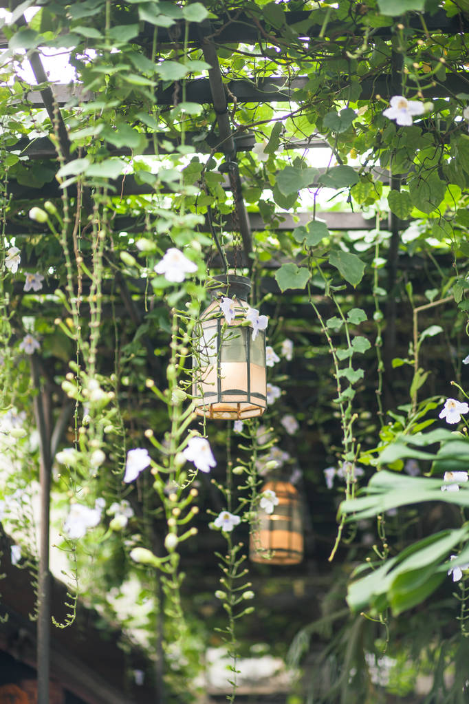 在咖啡厅的装饰灯图片 在咖啡厅的装饰灯图片