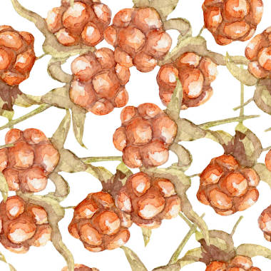 水彩圖案與漿果