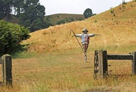 Scarecrow -- picture on grass