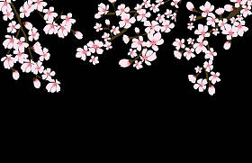 抽象花卉樱花花日本自然背景矢量