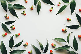 绿色的叶子和红色浆果的框架