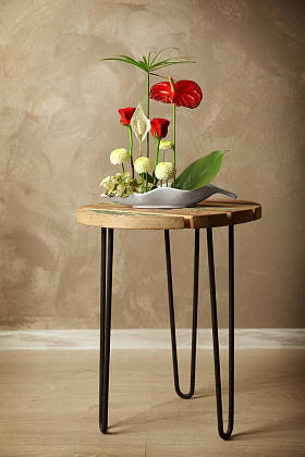 美丽的花安排 图片