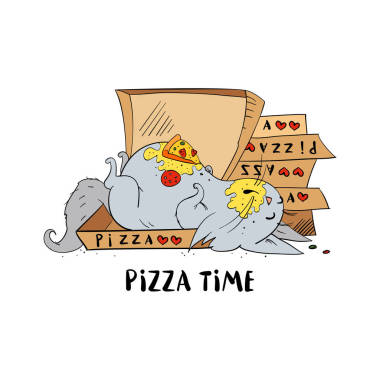 白色背景上孤立的逗貓