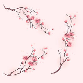 盛开樱花的分支机构