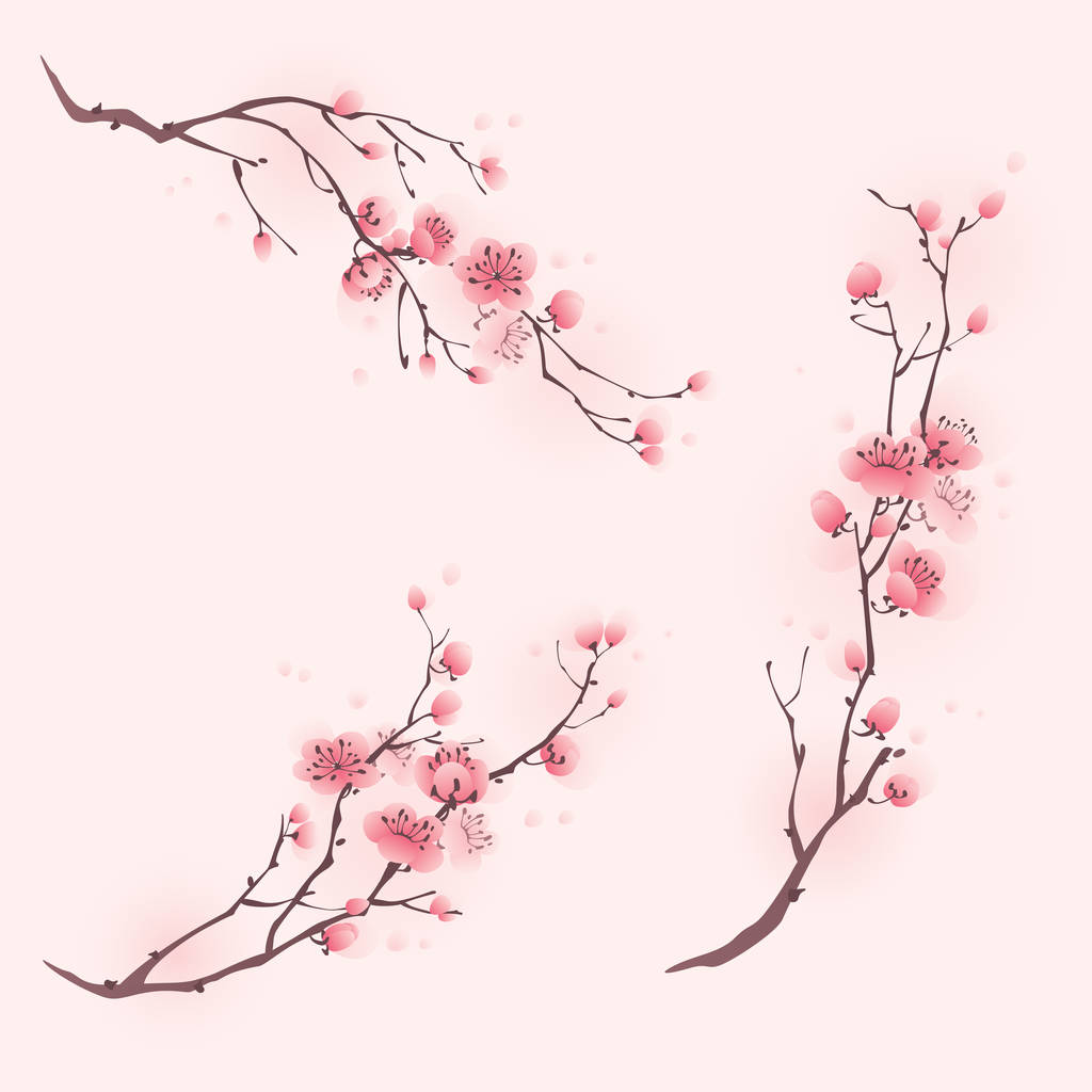 盛开樱花的分支机构