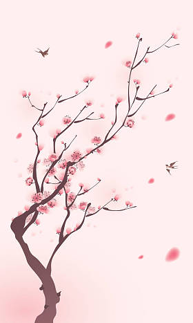 盛开樱花的分支机构图片