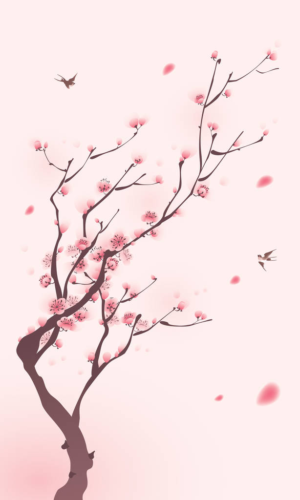 盛开樱花的分支机构图片