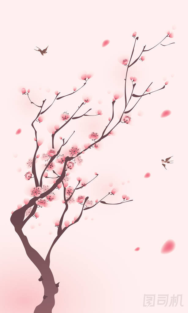 盛開櫻花的分支機構圖片