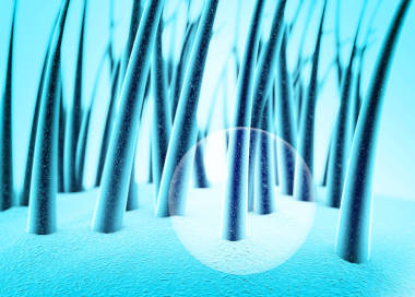 表面的皮膚，頭發(fā)，頭發(fā)健康，Trichology，頭皮屑的頭發(fā)。頭發(fā)結(jié)構(gòu)