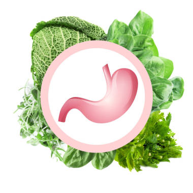 衛(wèi)生保健和食品 concepth 白色背景上