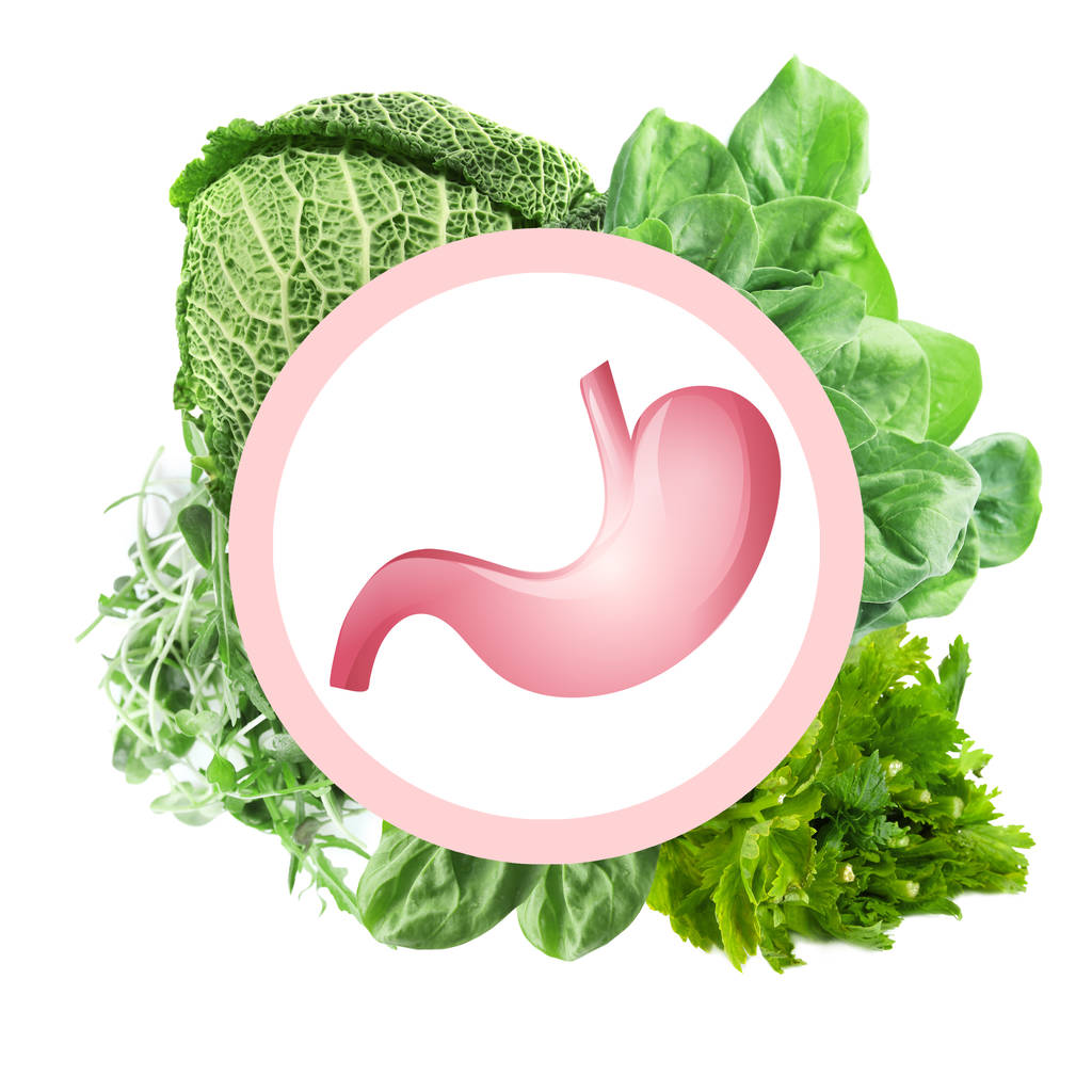 卫生保健和食品 concepth 白色背景上