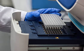科学家或研究员或博士生放入 pcr dna 样本