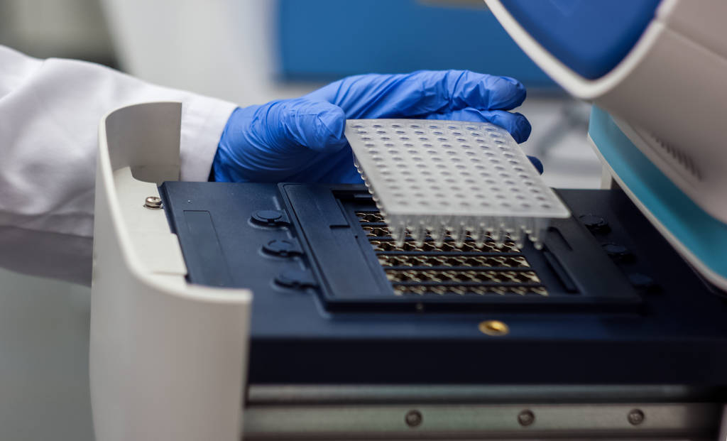 科学家或研究员或博士生放入 pcr dna 样本