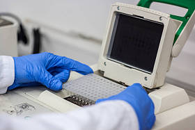 科学家或研究员或博士生放入 pcr dna 样本