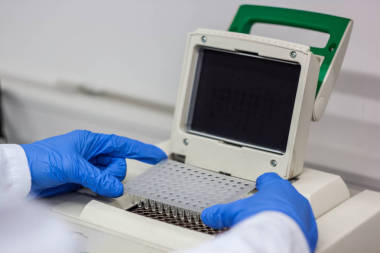 科學(xué)家或研究員或博士生放入 pcr dna 樣本