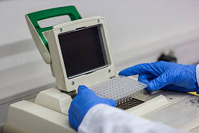 科学家或研究员或博士生放入 pcr dna 样本