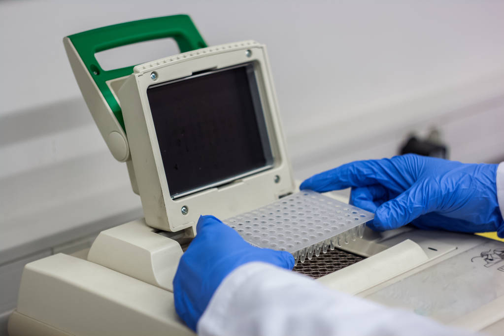 科学家或研究员或博士生放入 pcr dna 样本