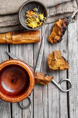 草藥金盞花和樺褐孔菌照片