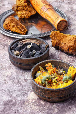 愈合收集樹根和藥草