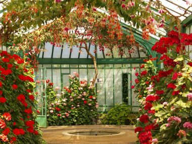 綠色噴泉硬幣在公園皇家園林