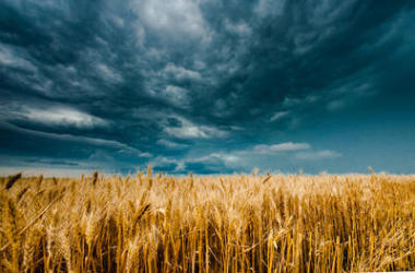 字段的風(fēng)暴陰云