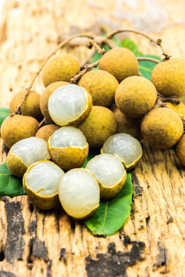 新鮮成熟龍眼果實照片