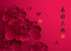 中国新的一年。开花的纸图形