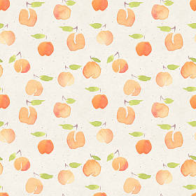 模式与桔子桃子