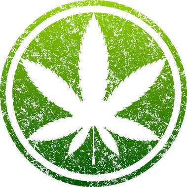 大麻绿色叶图片