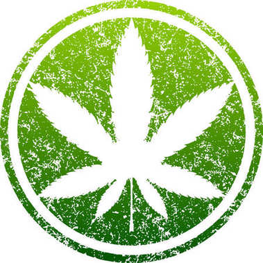 大麻绿色叶图片