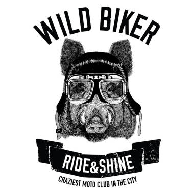 豬的摩托車，自行車，摩托車，滑板車俱樂部 t 恤設(shè)計的經(jīng)典照片