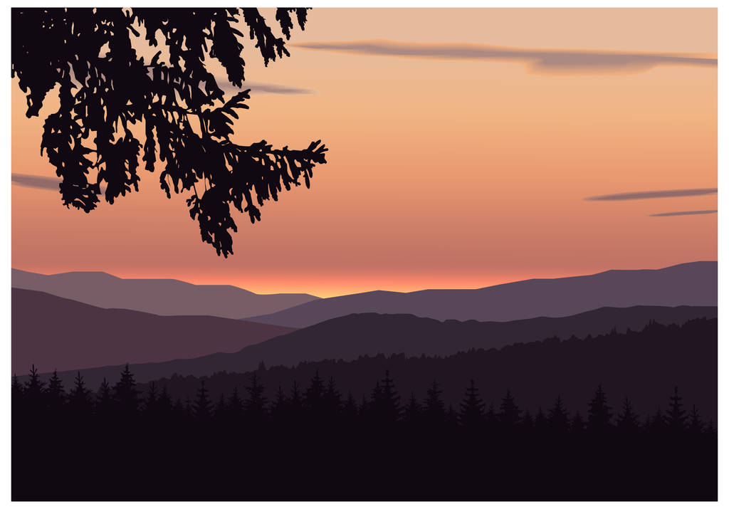 山的全景. 照片