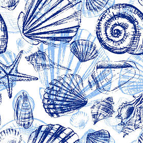 蓝色的贝壳水下海洋纹理