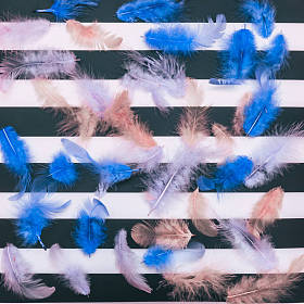 条纹背景上的蓝色羽毛