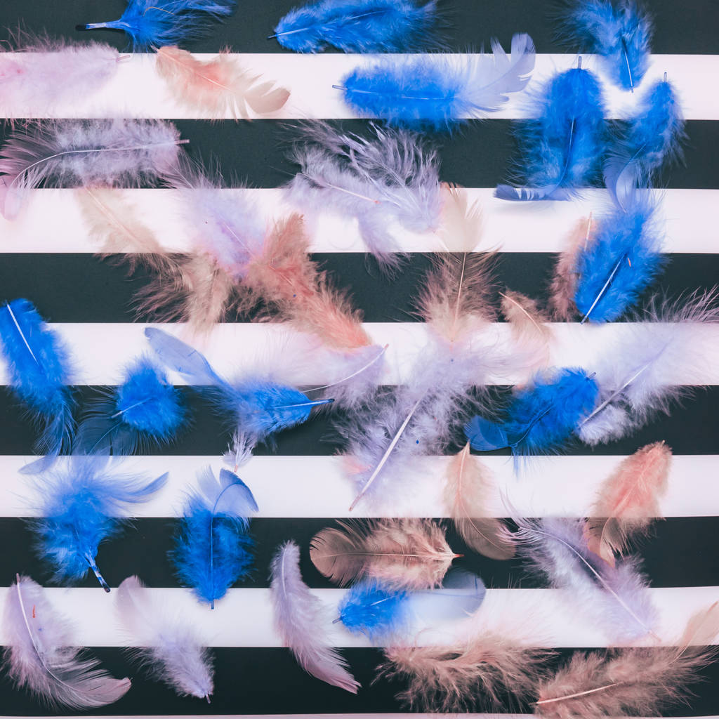 条纹背景上的蓝色羽毛 条纹背景上的蓝色羽毛