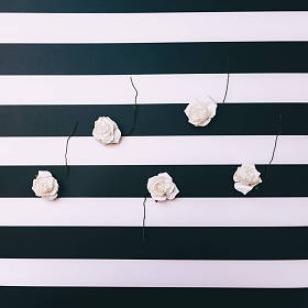 人工的白玫瑰图片