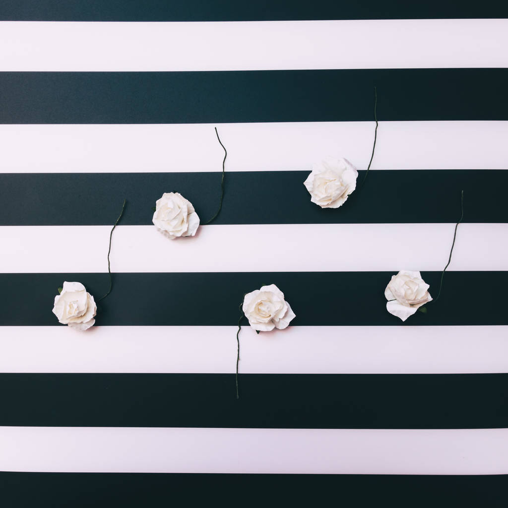 人工的白玫瑰图片