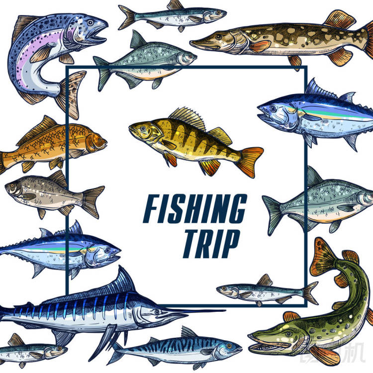 為釣魚旅行素描矢量海報模板圖片