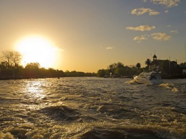 里約熱內(nèi)盧de la Plata三角洲虎阿根廷