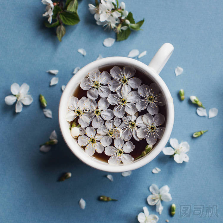 杯咖啡與花瓣圖片