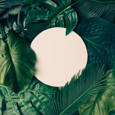 富有创意的设计，由热带叶