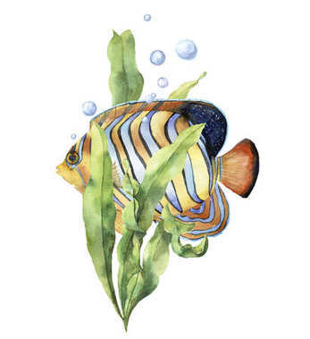 水彩水族館卡與魚。手繪水下打印與神仙魚，海帶分支和氣泡上孤立的白色背景。插圖設計，打印或背景