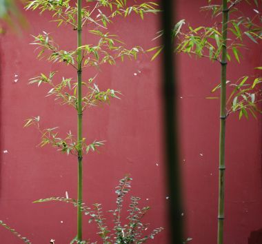 中國傳統(tǒng)的紅墻