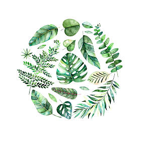 多彩的水彩框架边框