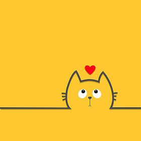 猫头图标照片